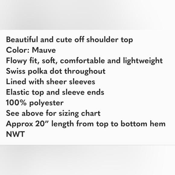 Nwt swiss dot off shoulder top - Picture 6 of 6
